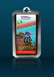 Red Marine Algae